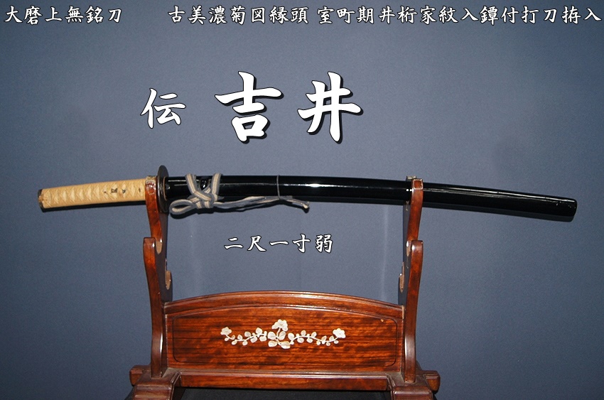 伝 吉井 大磨上無銘刀 二尺一寸弱 古美濃菊図縁頭 室町期井桁家紋入鐔 